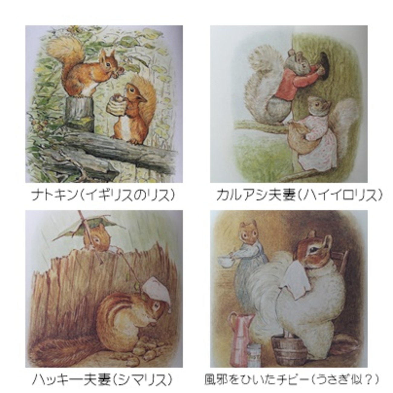 9月に読んだ本のまとめ 「ピーターラビット」シリーズがおもしろくなっ 