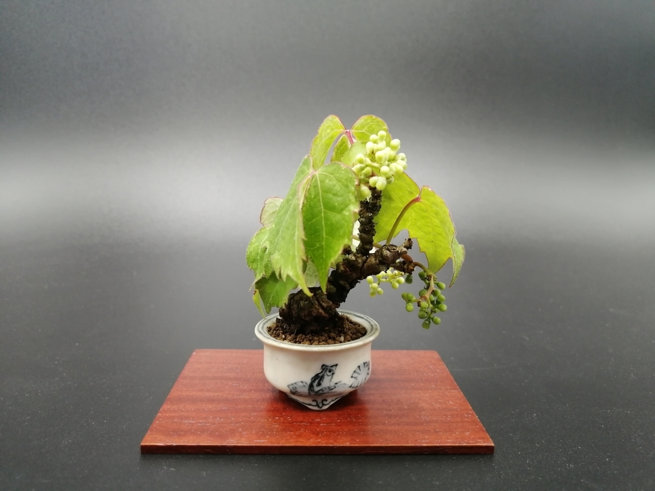 工芸盆栽・ハンドメイド・一点物・秋・柿 工芸盆栽・ハンドメイド・一点物・秋・柿