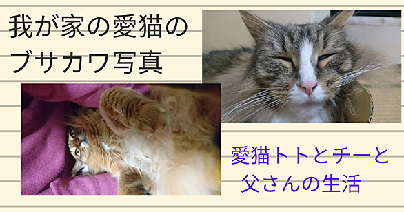 ブサカワとは 一般の人気 最新記事を集めました はてな ブサカワとは 一般の人気 最新記事を集めました はてな