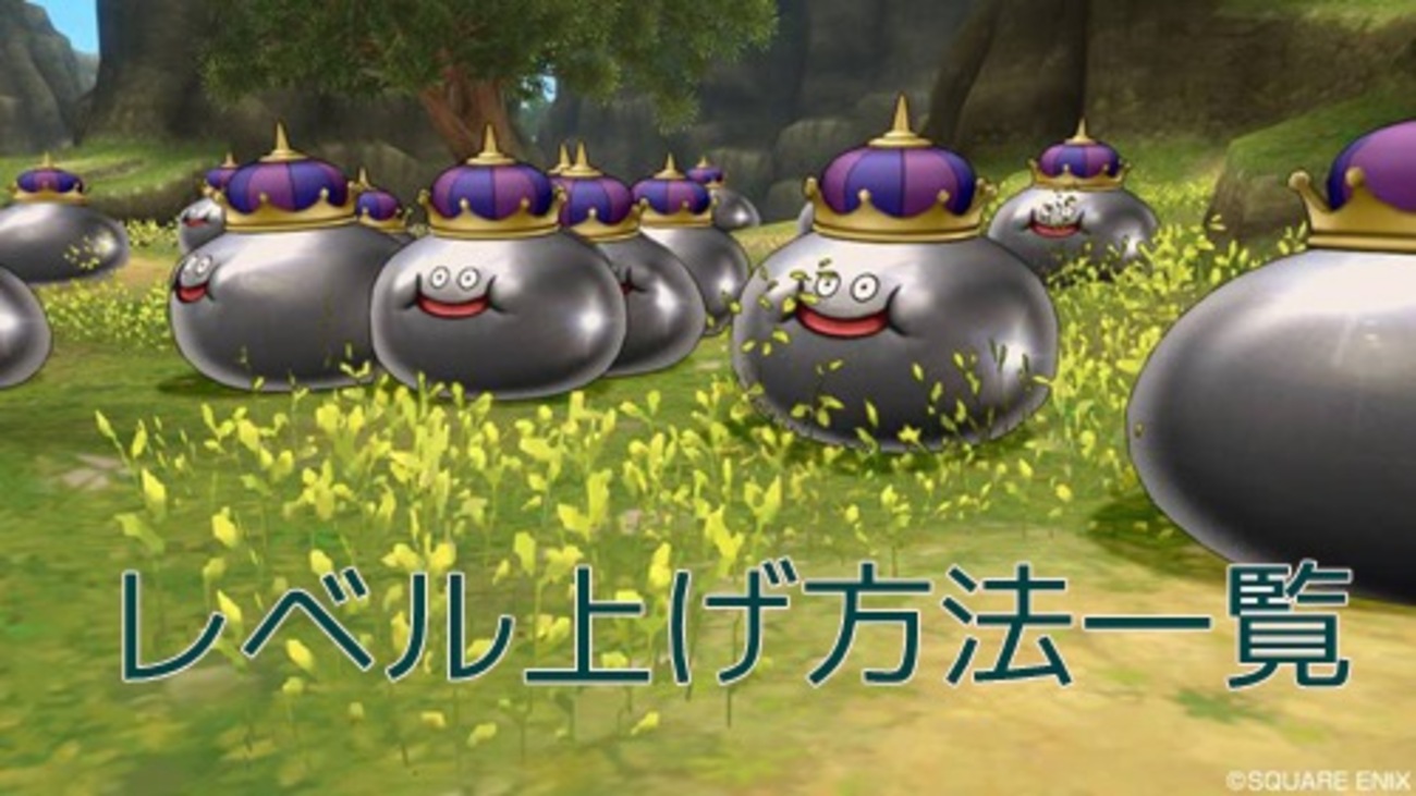 ドラクエ11】レベル上げ方法【メタルスライム倒し方】 - スイッチ攻略Press