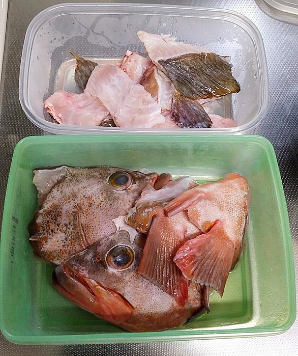 アコウとは 動植物の人気 最新記事を集めました はてな