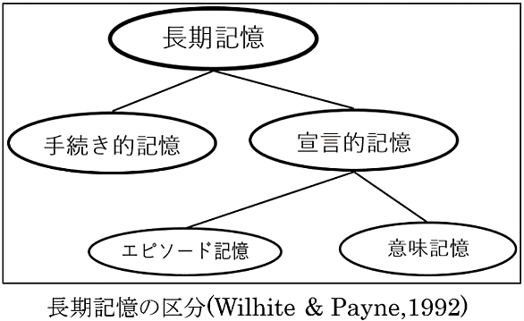 宣言的記憶とは 一般の人気 最新記事を集めました はてな 宣言的記憶とは 一般の人気 最新記事を集めました はてな
