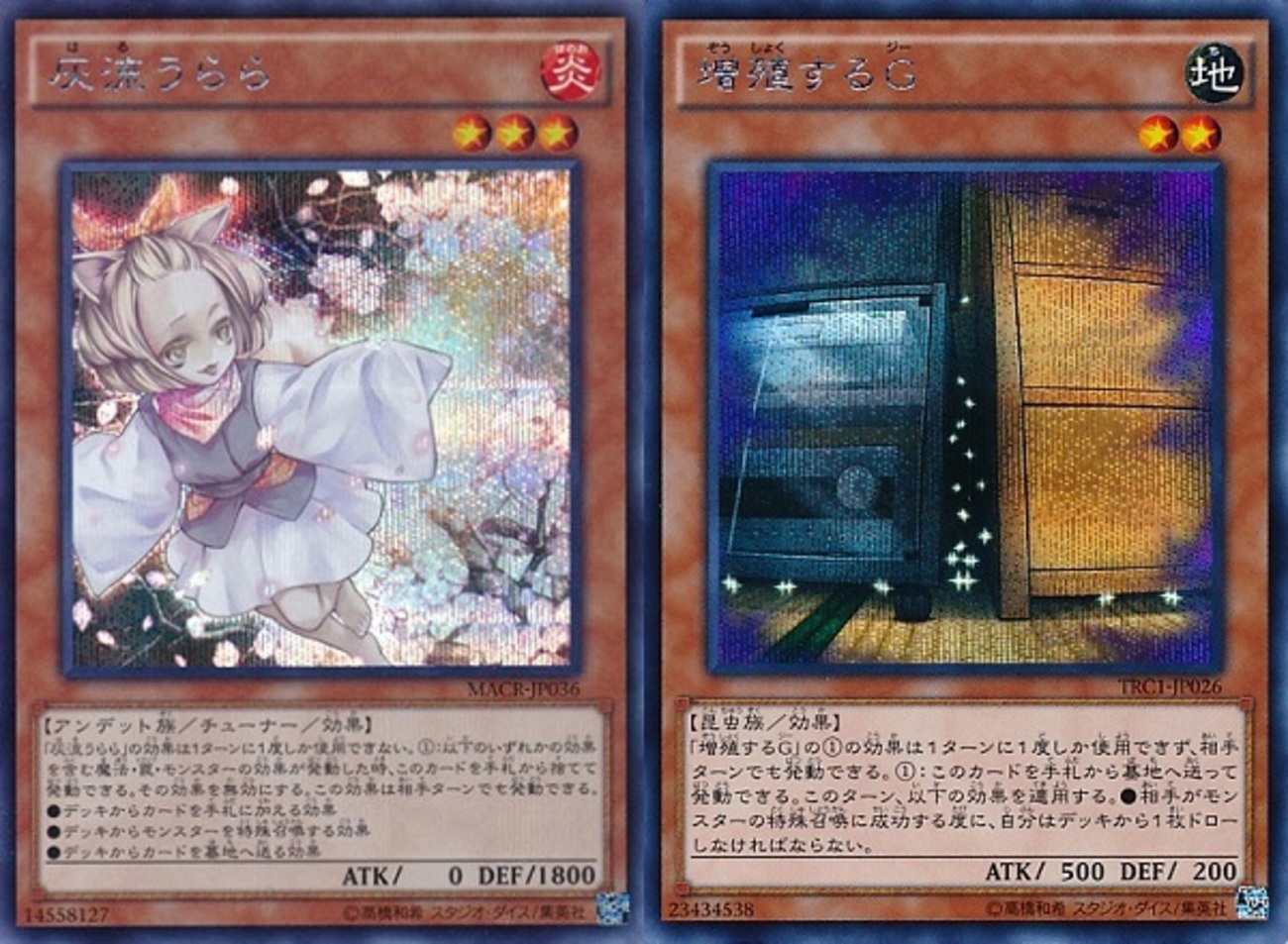 backend=imagemagick;version=1; 