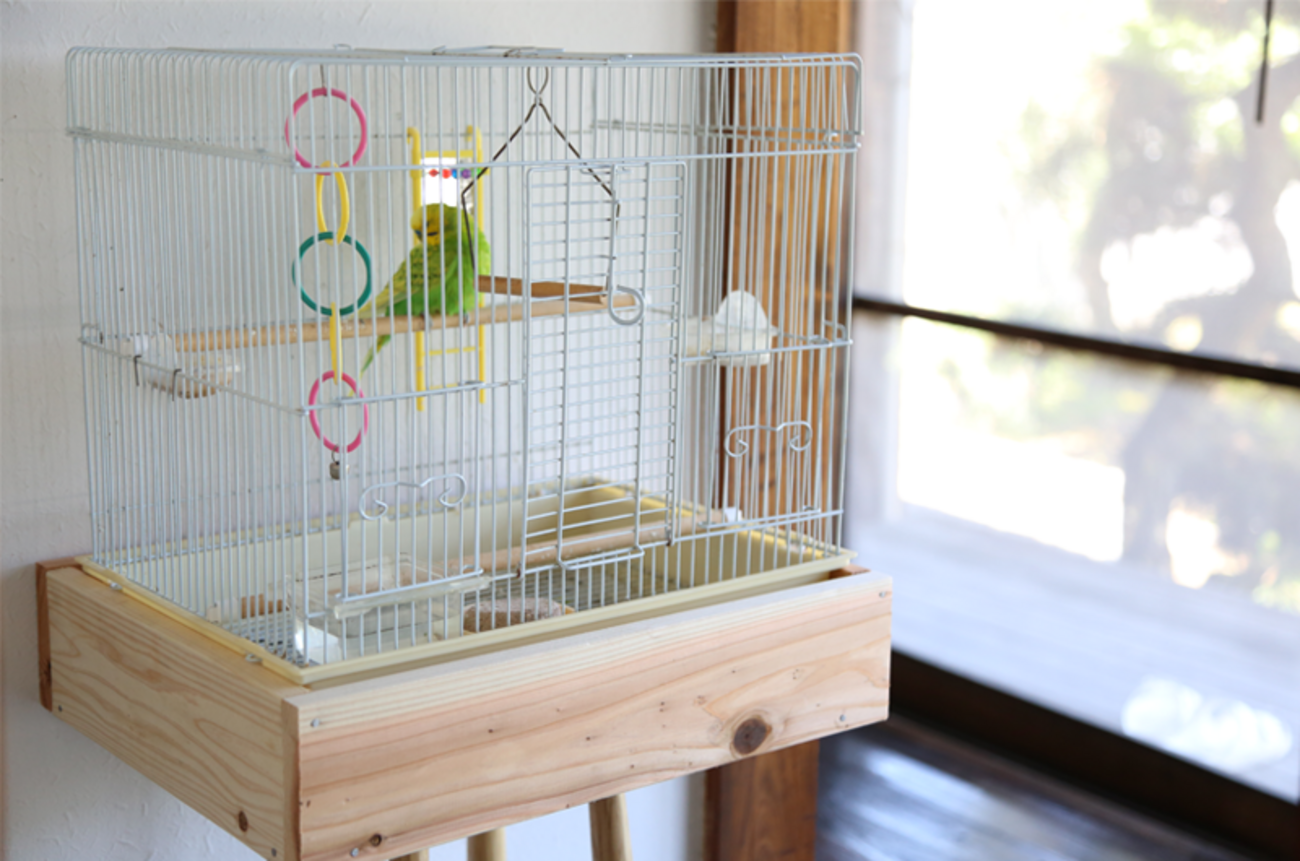鳥かごをナチュラルにDIY - 少ない物ですっきり暮らす