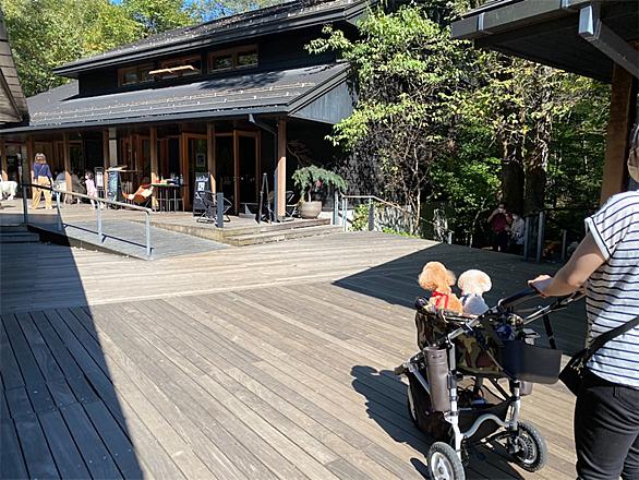 ハルニレテラスとは 一般の人気 最新記事を集めました はてな