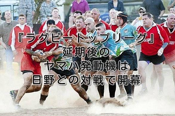 神戸製鋼コベルコスティーラーズとは スポーツの人気 最新記事を集めました はてな