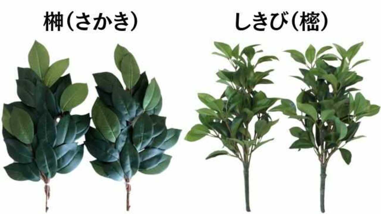 お榊と花しば（シキビ） - ま～ちゃんのつぶやき