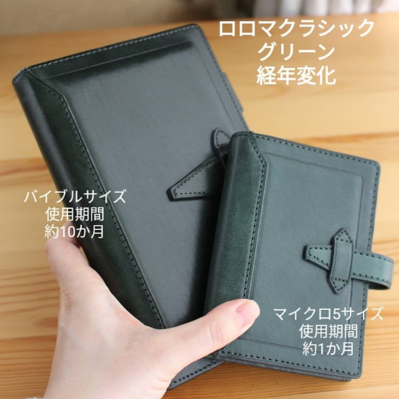 ロロマクラシック バイブル 黒 ダヴィンチシステム手帳 ロロマ ロロマクラシック バイブル 黒 ダヴィンチシステム手帳 ロロマ