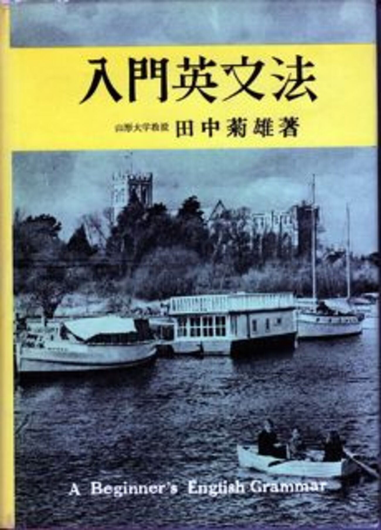 日英語の文法化と構文化 (ひつじ研究叢書(言語編) 第132巻