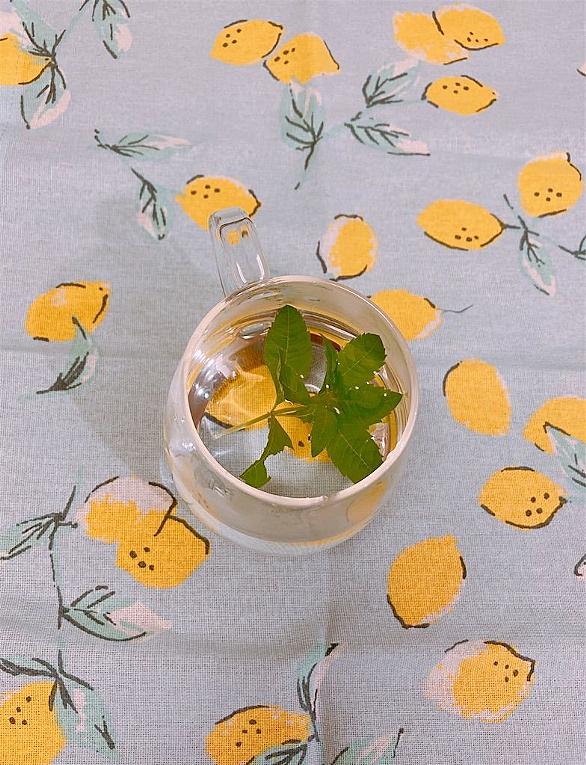 レモンバーベナとは 動植物の人気 最新記事を集めました はてな レモンバーベナとは 動植物の人気 最新記事を集めました はてな