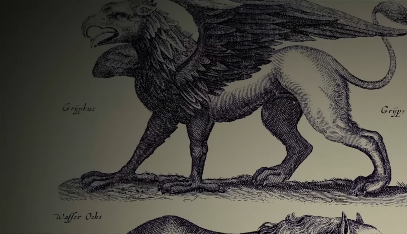 Cryptozoology - 人喰いの大鷲トリコ考察1 - 世界観警察