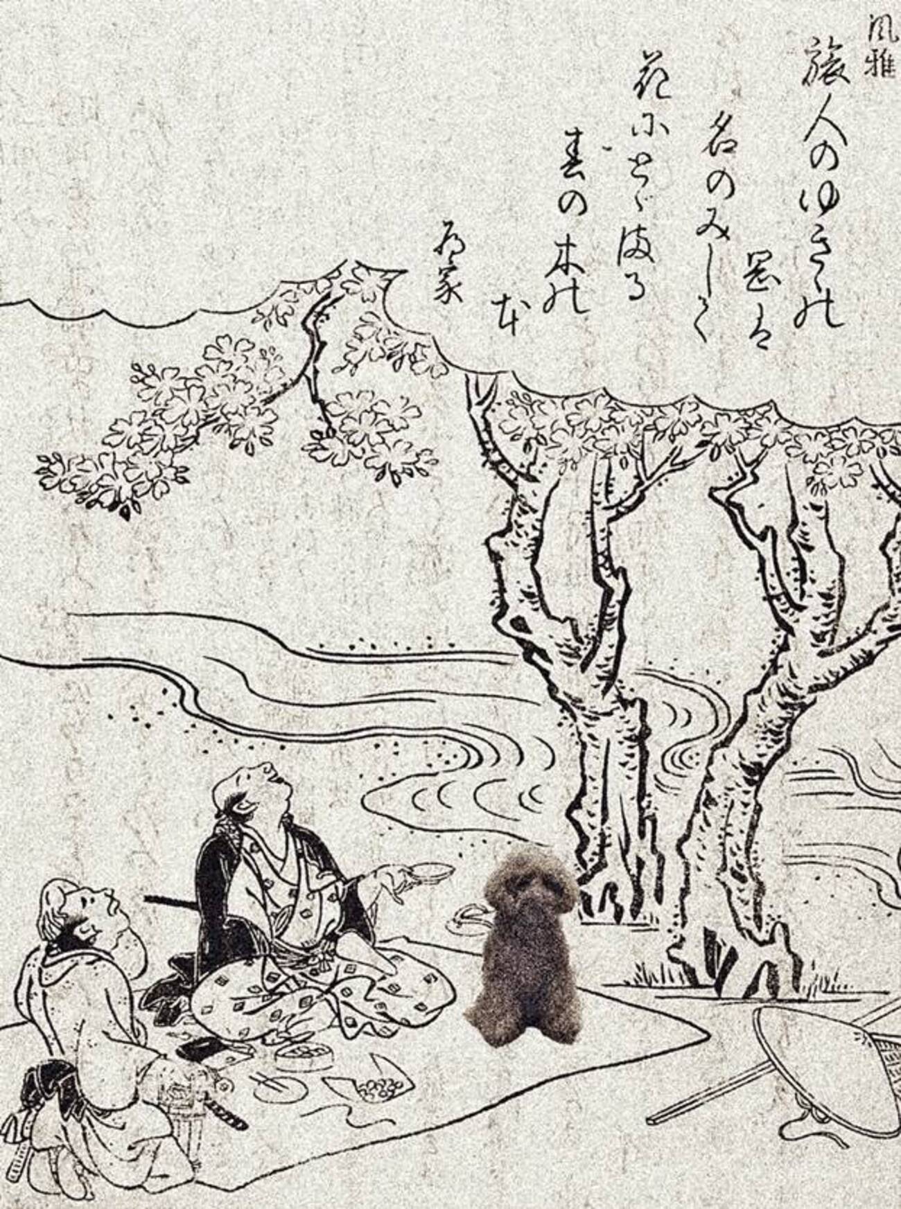 江戸時代の旅行本 大和名所図会を参考に愛犬と行く奈良県の旅 - 犬との 