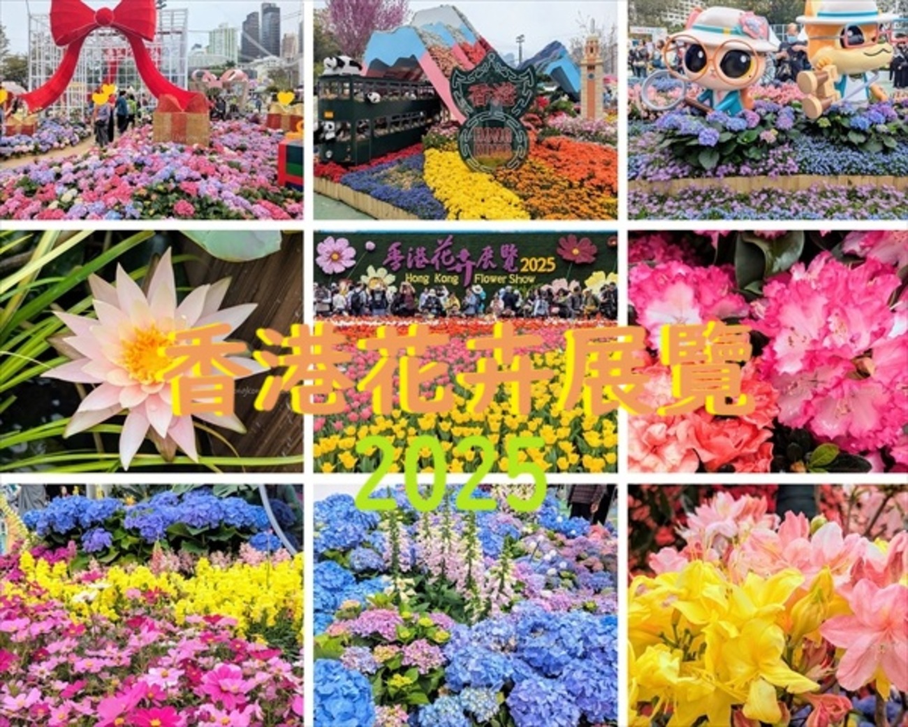 香港｜「花展2025」 ～年に一度の花の祭典～ - アジアおでかけブログ