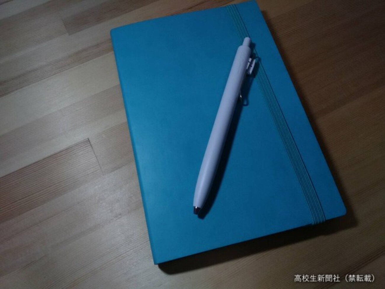 学校でいつもひとりぼっちだった高校生を救った「3年日記」 - 高校生 
