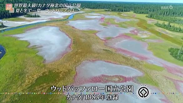 シンクホールとは サイエンスの人気 最新記事を集めました はてな シンクホールとは サイエンスの人気 最新記事を集めました はてな