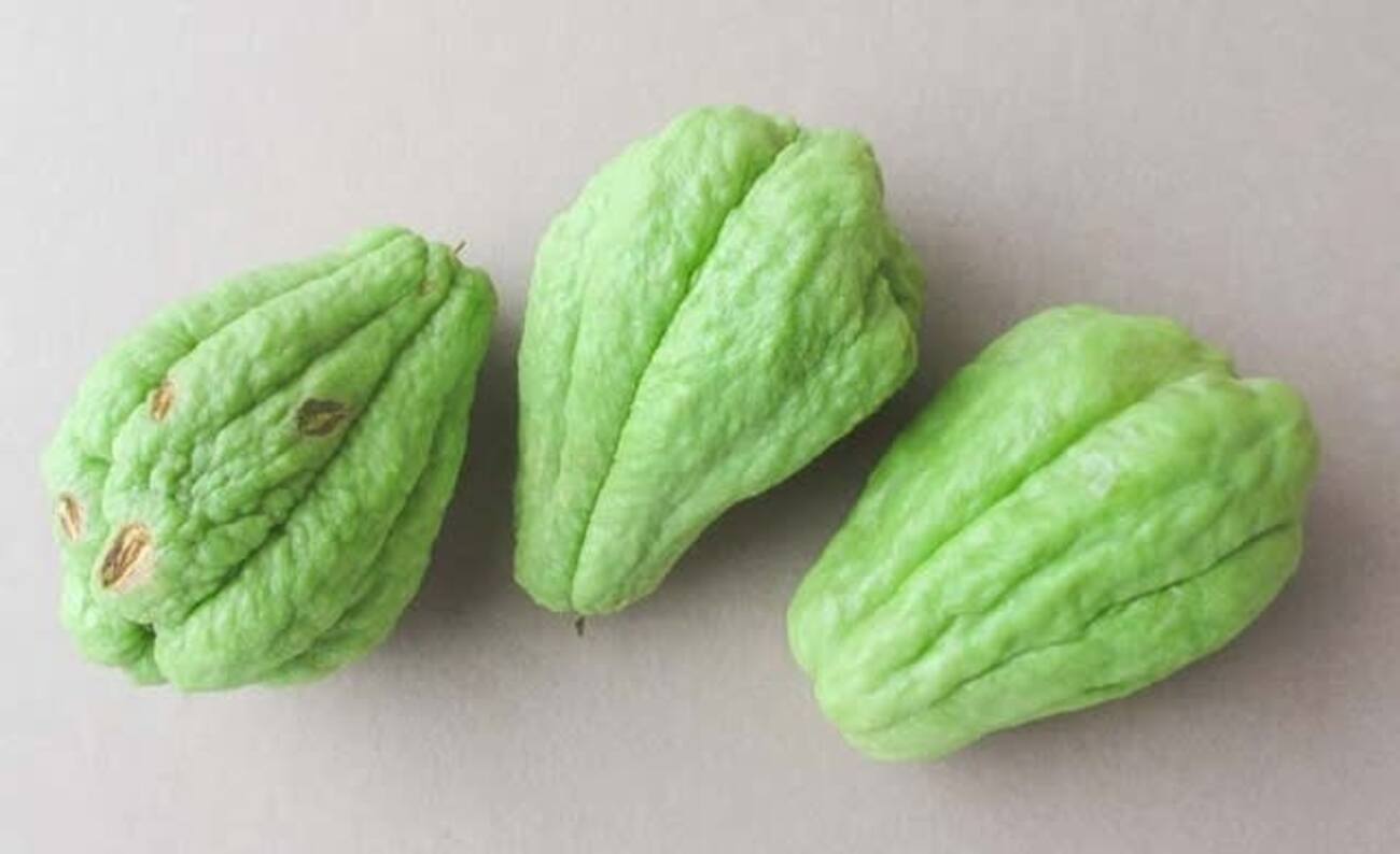 未熟なハヤトウリも、 長期保存が可能？ - ”菜園 穏風(のどか)” 自然農