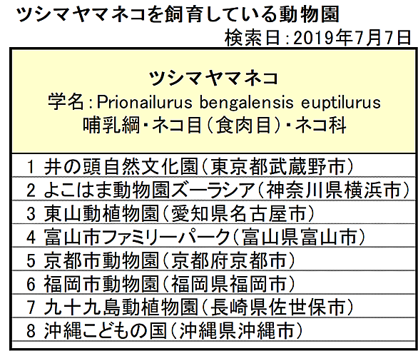 ツシマヤマネコとは 動植物の人気 最新記事を集めました はてな