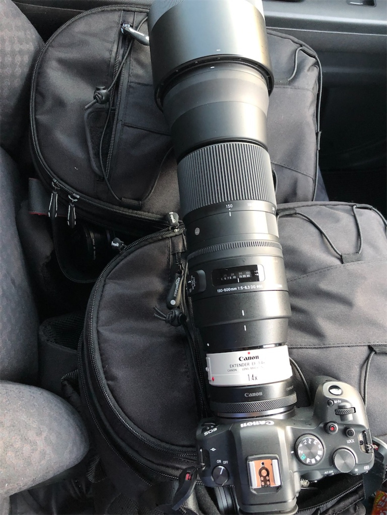 eosr6 ＋ SIGMA 150-600mm F5-6.3 DG OS HSM Contemporary ＋ 
