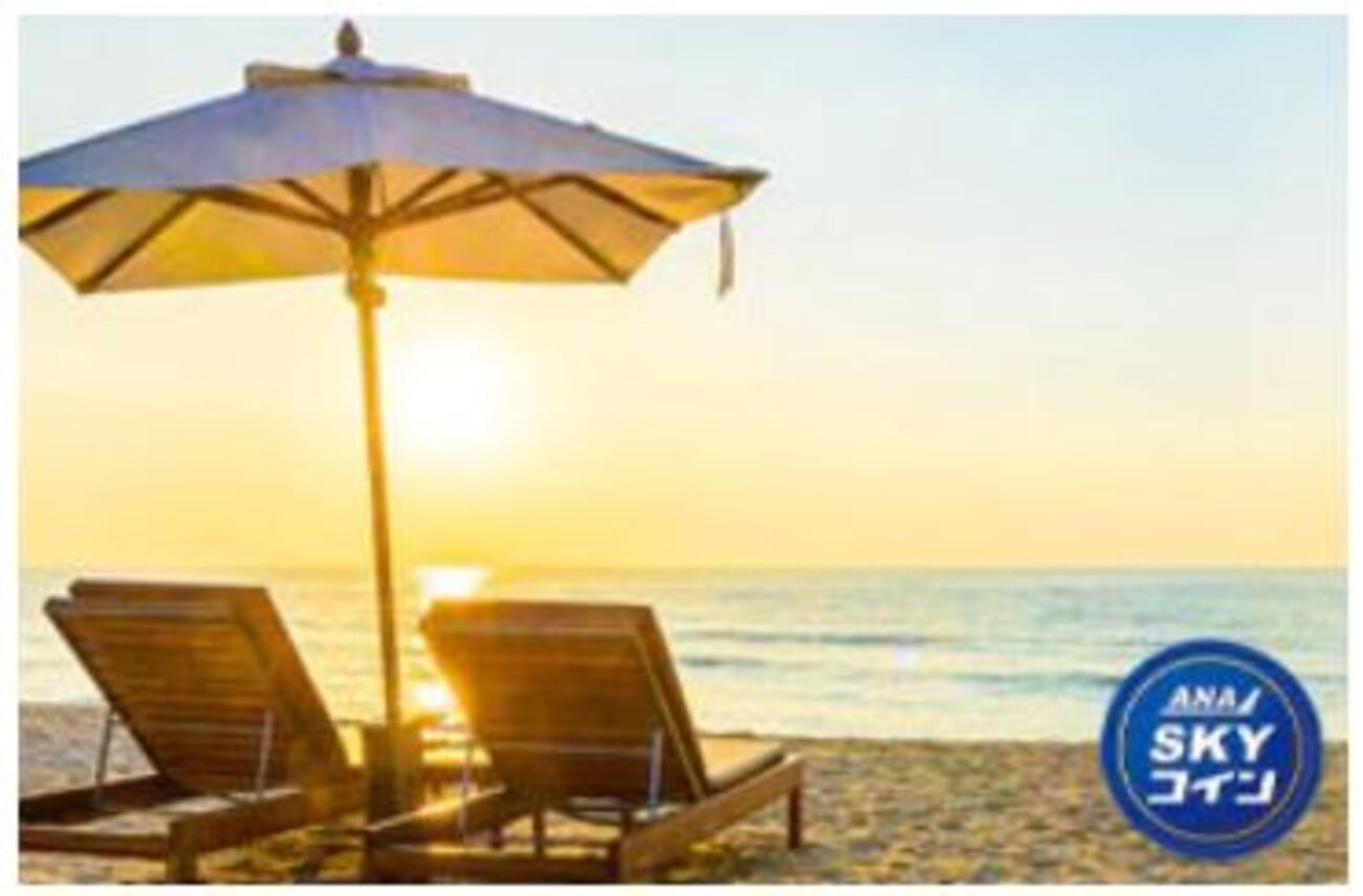 アップグレードポイントをSKYコインに交換する事を忘れてませんか？（毎年3/31まで） - ゆるマイラーさっきーの空旅マイル