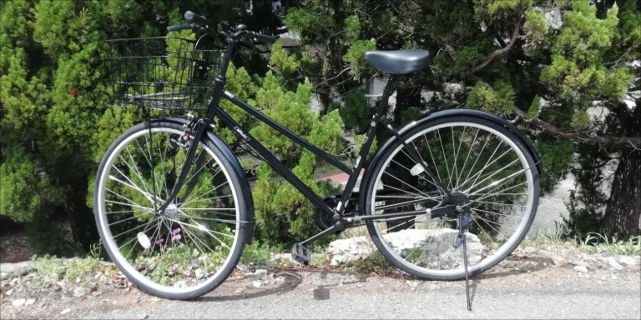 自転車を買いました - 独男本舗