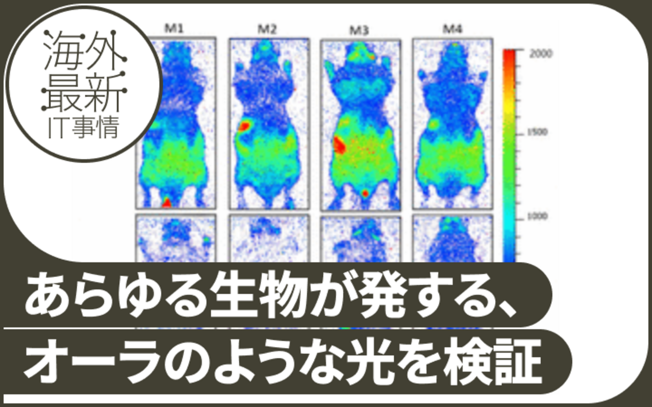 生物が発する微弱な光「バイオフォトン」 死ぬと消失、マウス実験で 