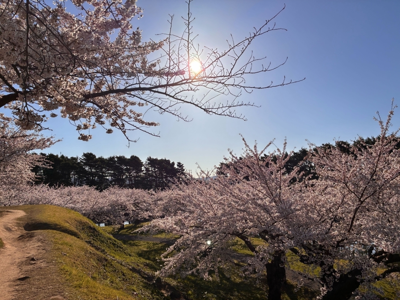 RubyKaigi 2026 参加レポート — Day 2 | Link and Motivation Developers' Blog