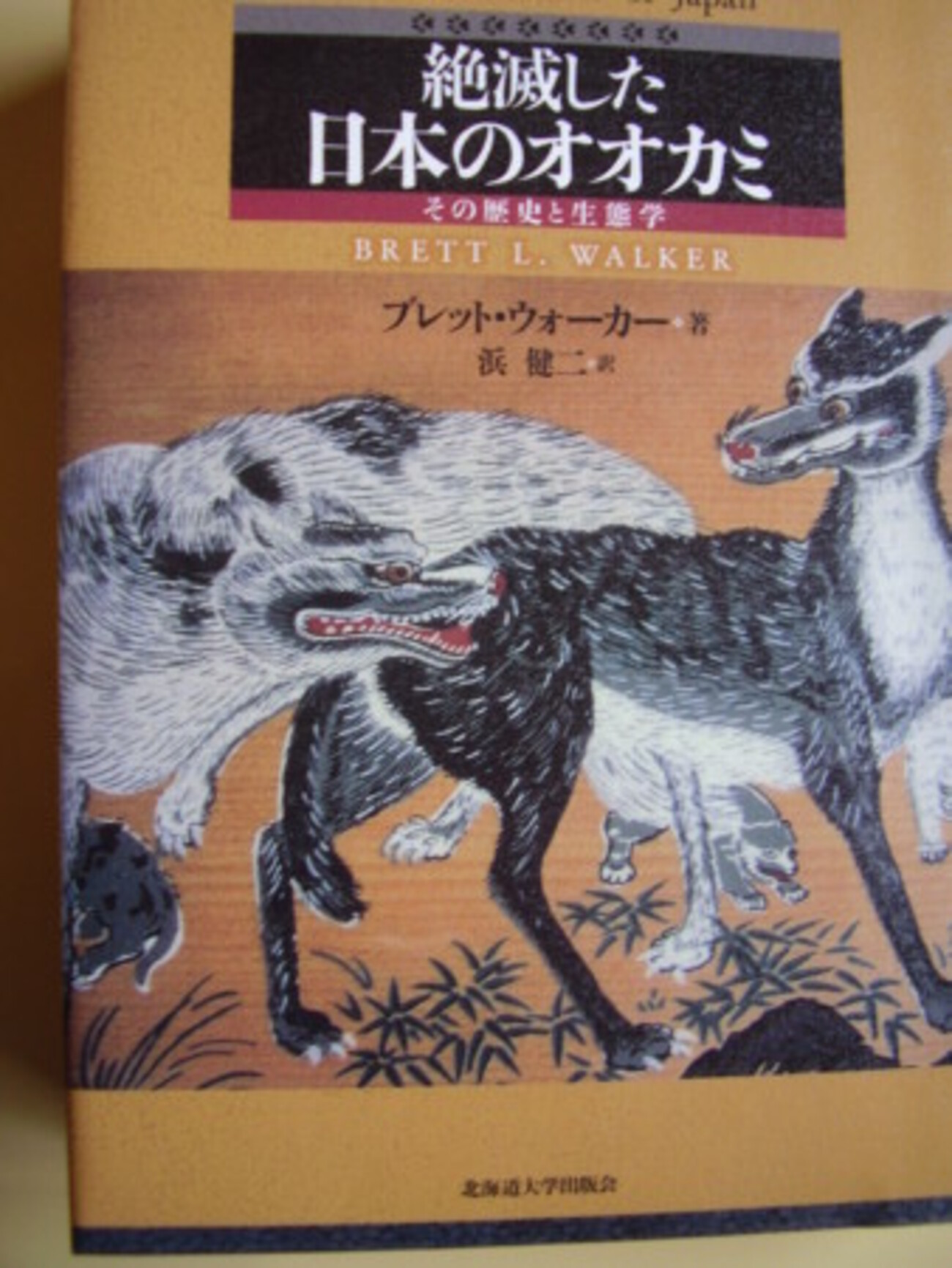 backend=imagemagick;version=1; 