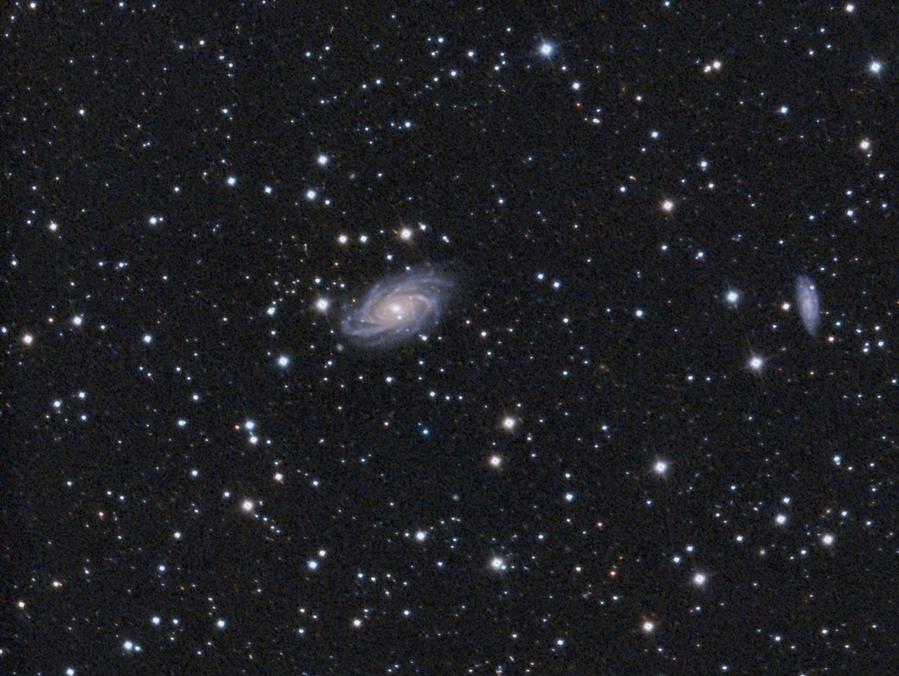 NGC2336：きりん座の渦巻銀河 - 星見鶏
