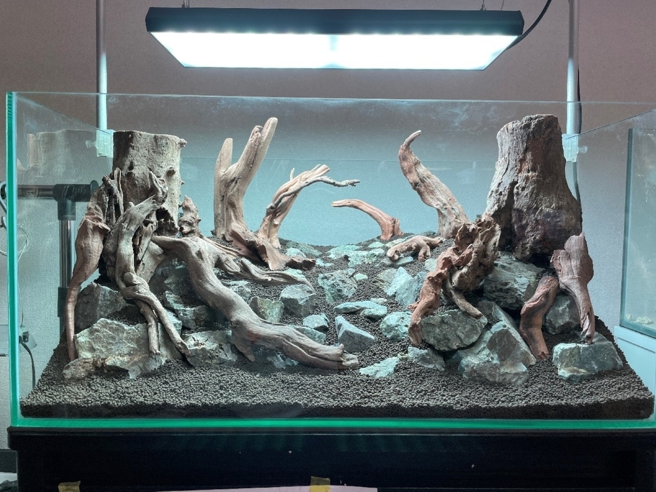 世界水草レイアウトコンテスト2022に応募しようと思っていたレイアウト