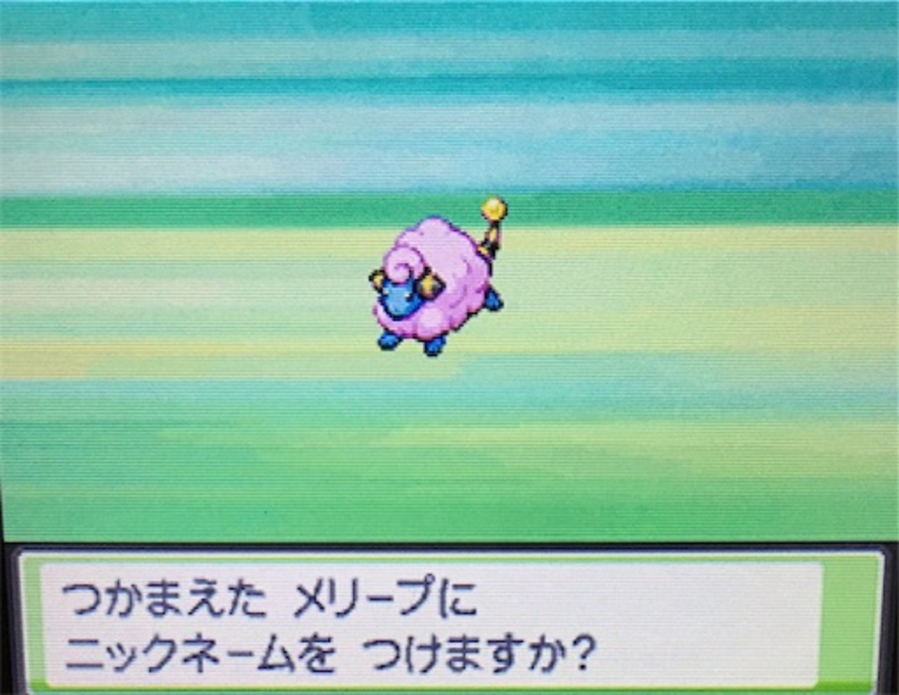 ポケットモンスター ソウルシルバー　色違いコンプリート　オプションあり backend=imagemagick;version=1;