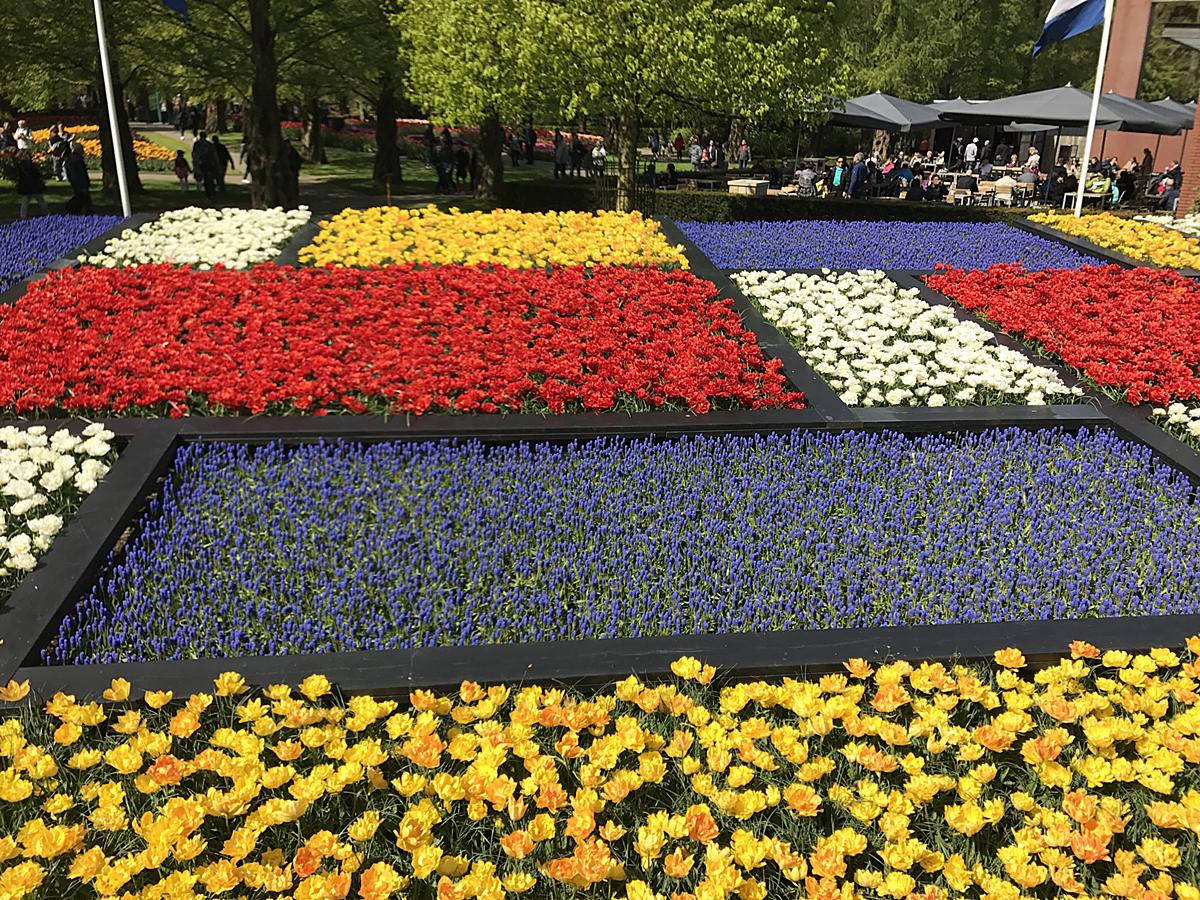 チューリップの国オランダで見つけた美味しいもの