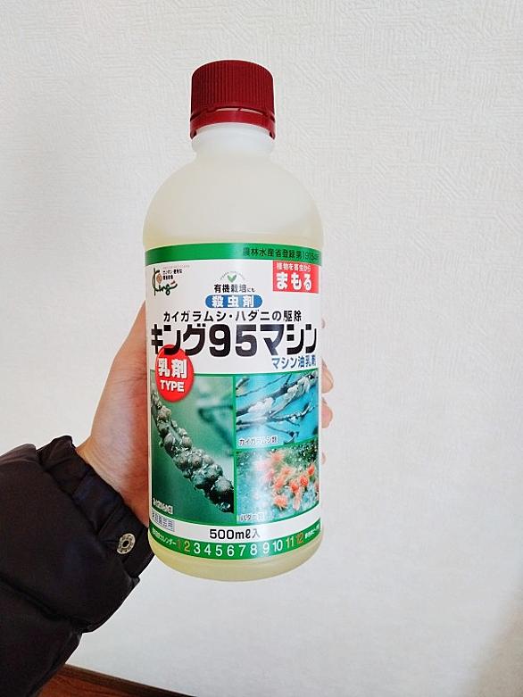 カイガラムシ駆除とは 人気 最新記事を集めました はてな カイガラムシ駆除とは 人気 最新記事を集めました はてな
