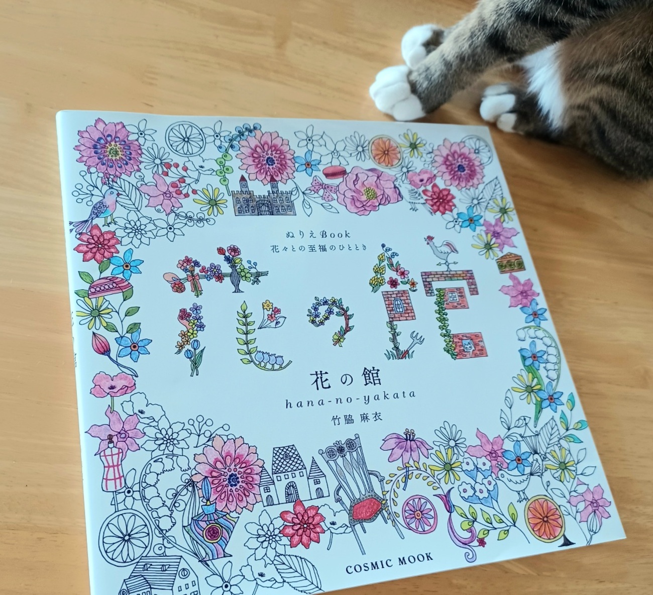 竹脇舞衣 ねこイラスト 原画 backend=imagemagick;version=1;