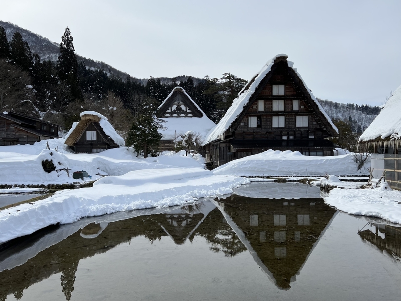 二か月連続で白川郷に行けるって幸せじゃない？ - 勝手に岐阜県観光大使
