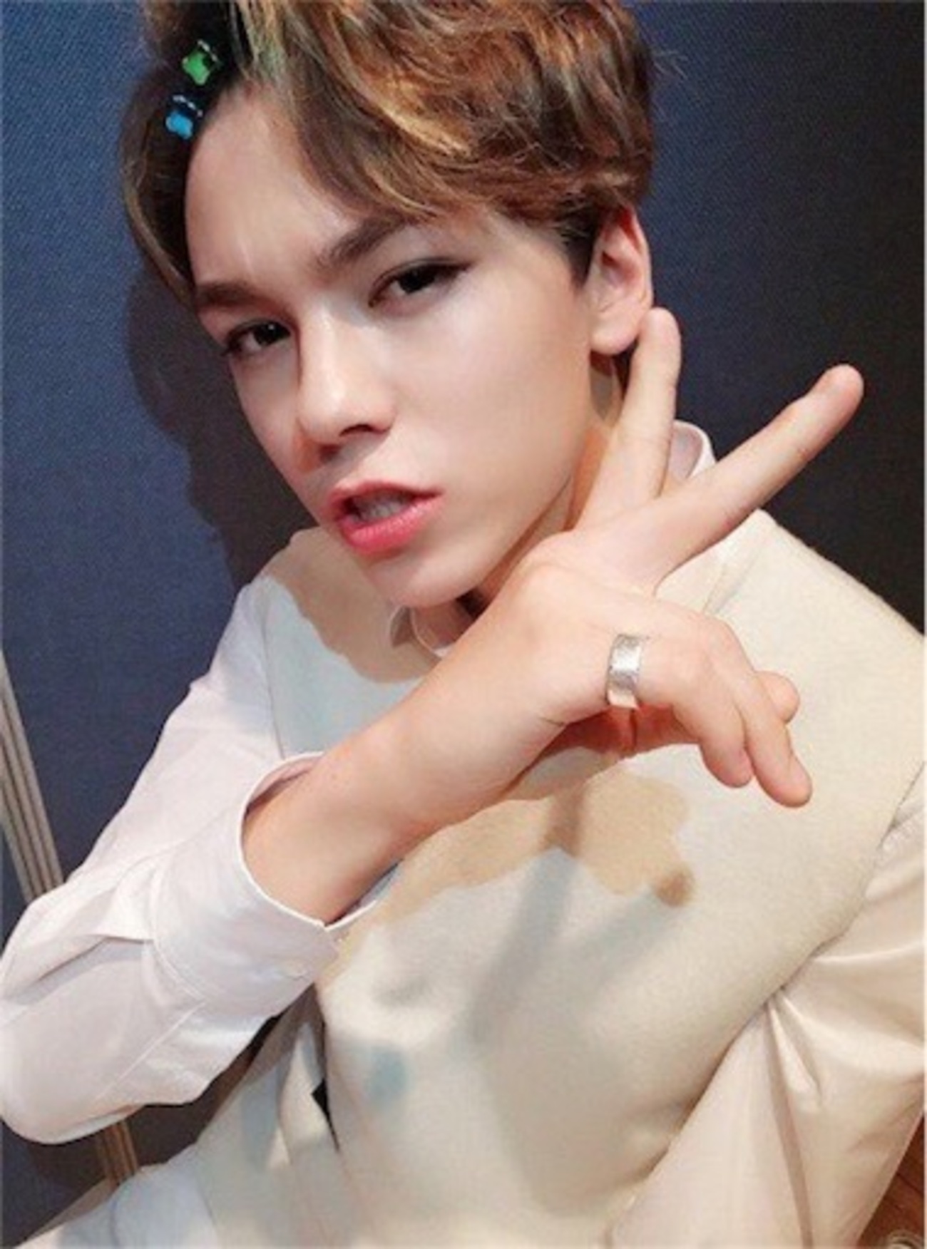 セブチプロフィール② Vernon バーノン ハンソル バーノン チェ 