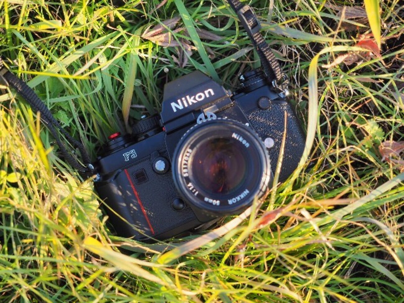 Nikon F3という極上カメラ - カメラと考えてることとタイムカプセル