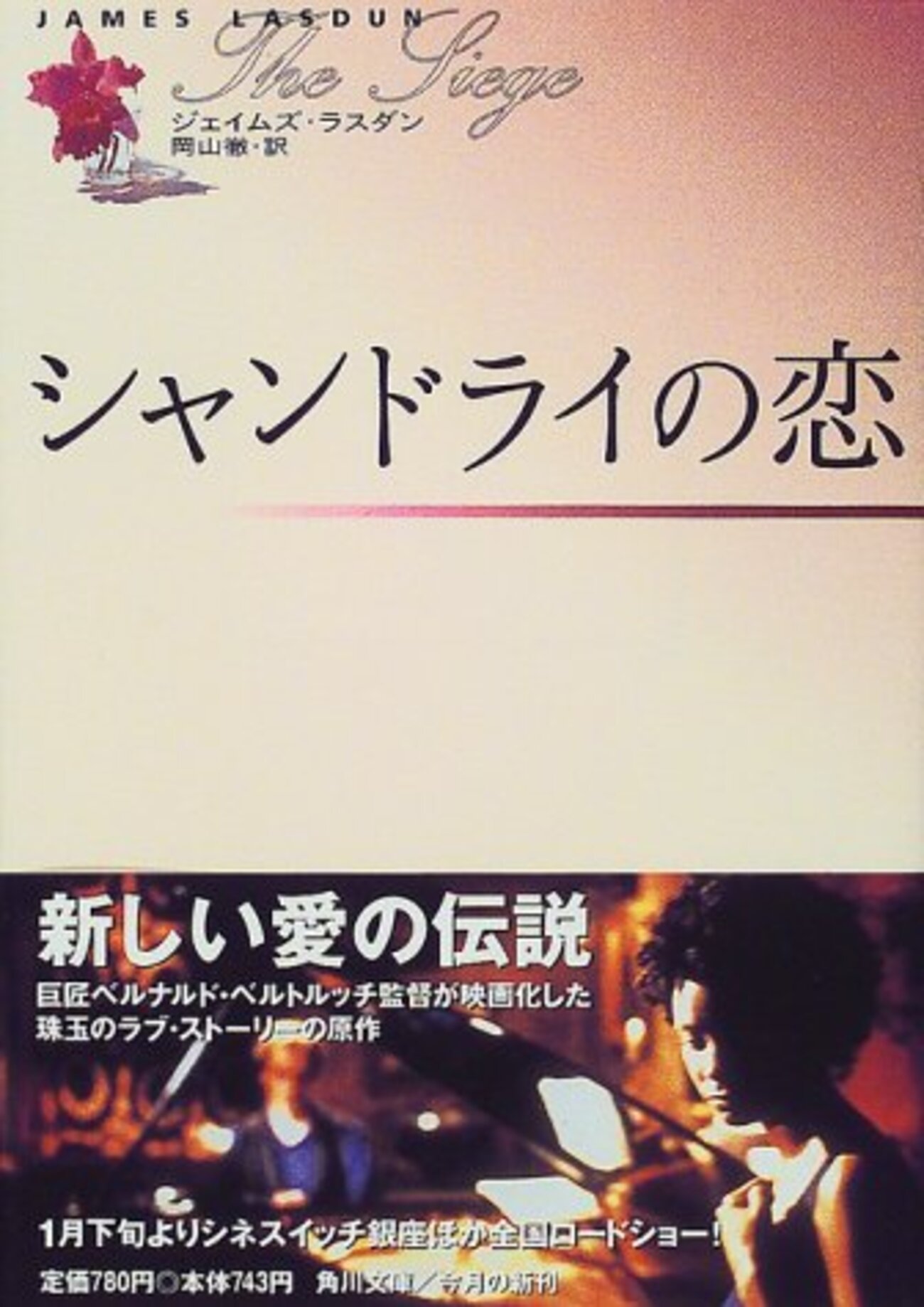 シャンドライの恋 映画フライヤー ベルナルド・ベルトルッチ 希少品 入手困難 映画チラシサイト：シャンドライの恋