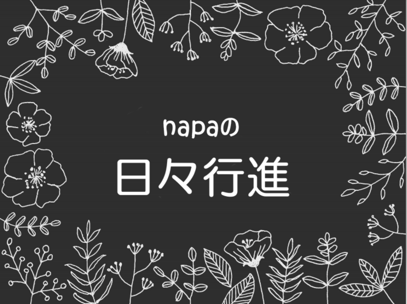 スマホが通話できなくなった。私の対応不足です。【napaの日々行進