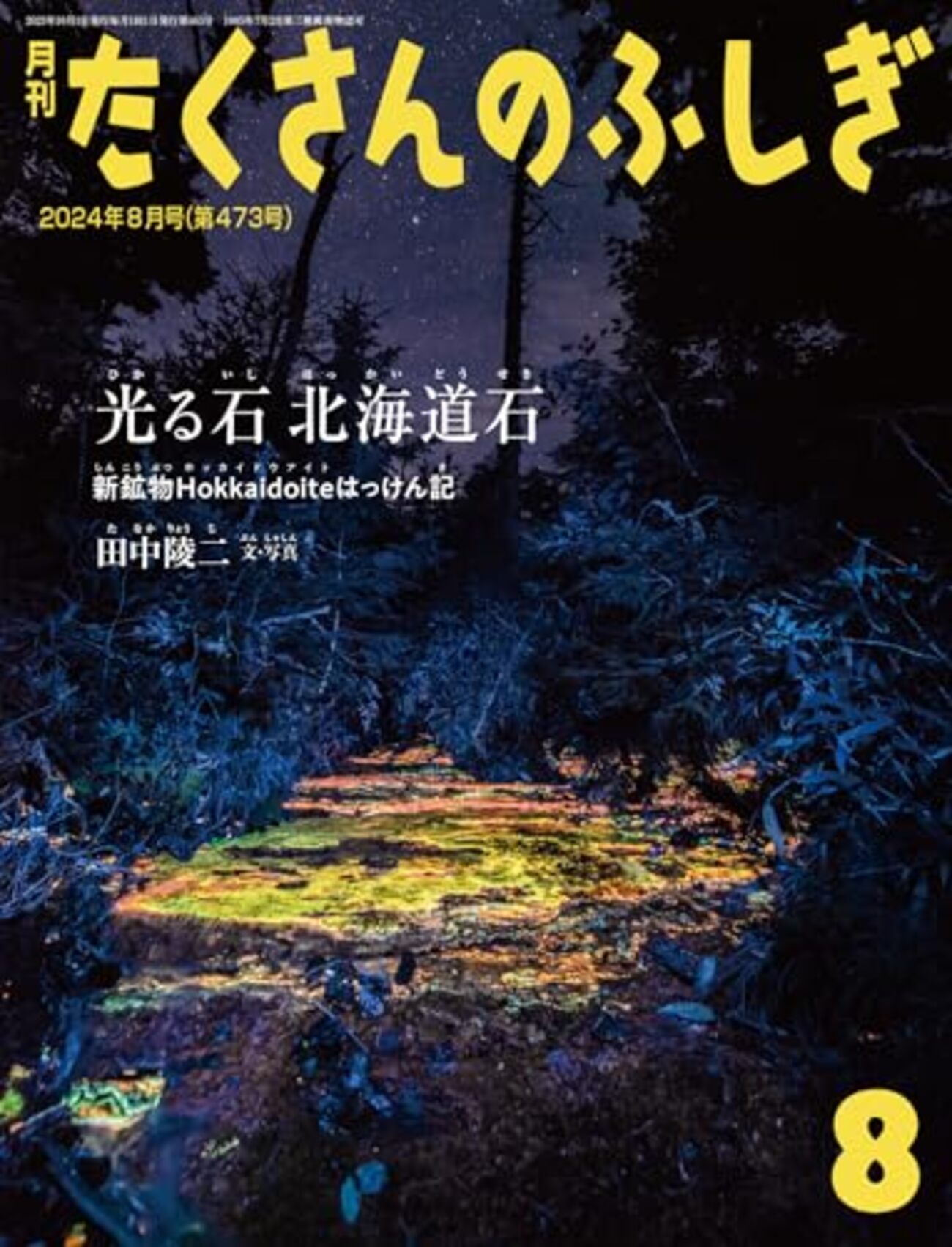 貴重　月刊たくさんのふしぎ（1985、1986、1988、1989）まとめ売り 限定販売】 貴重 月刊たくさんのふしぎ（1985、1986、1988、1989