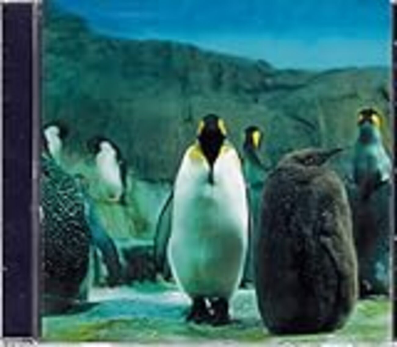 らご/羅針盤【1997】 - EPOCALC's GARAGE