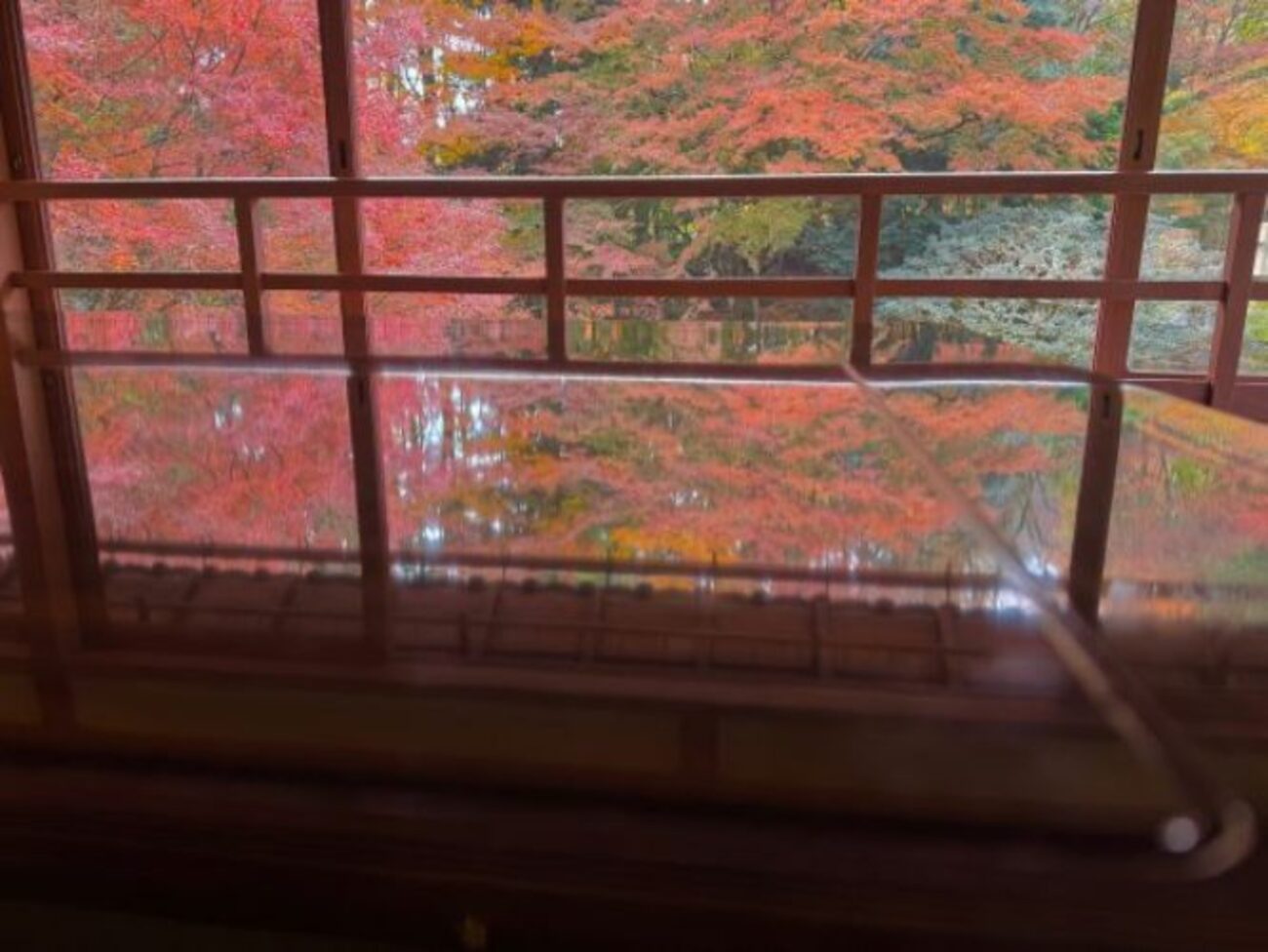 紅葉2025】旧竹林院｜床紅葉ならぬ、座敷机に映る紅葉のリフレクション 