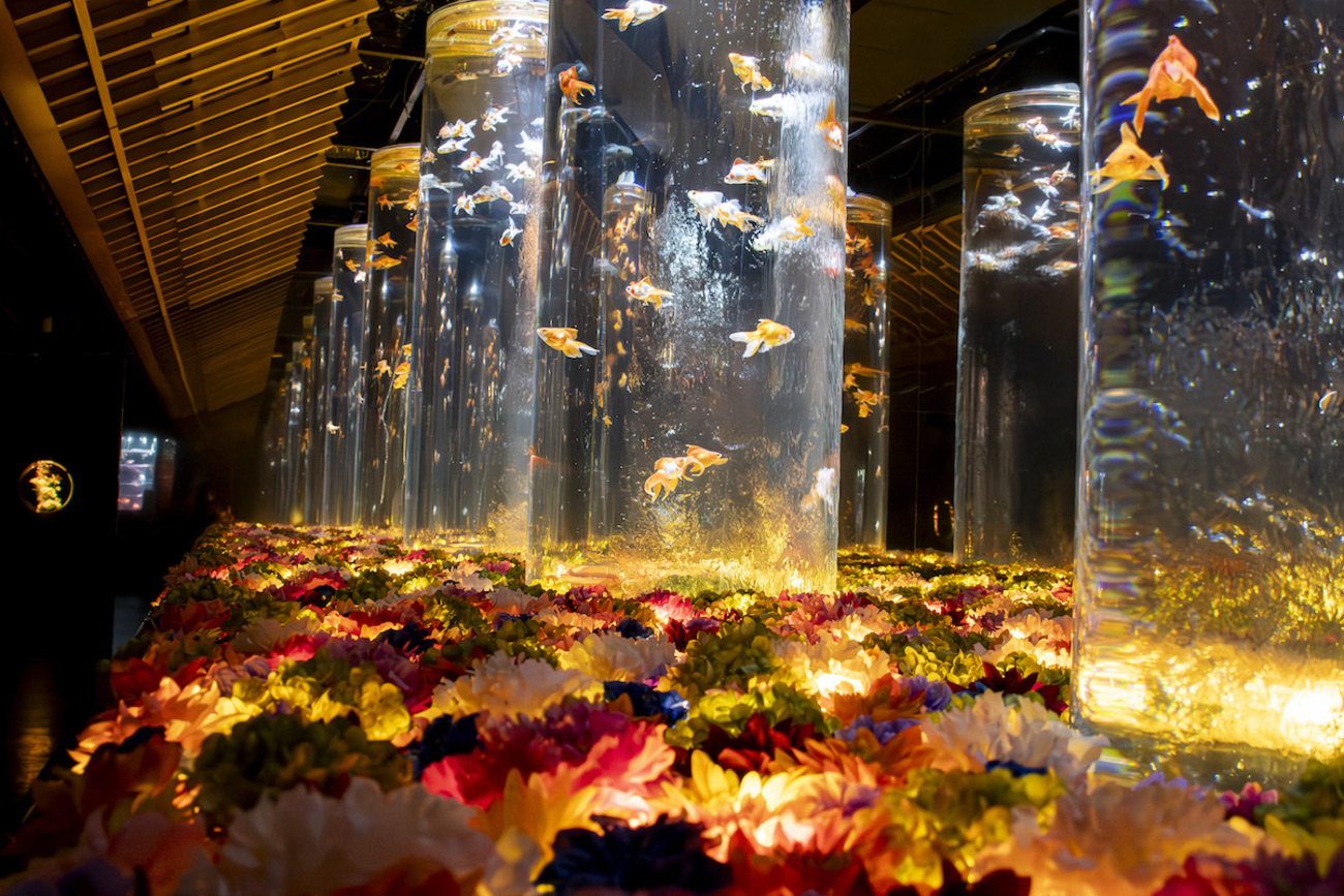 冬の銀座に咲く、幻想世界のアートアクアリウム「Flower Aquarium Gala