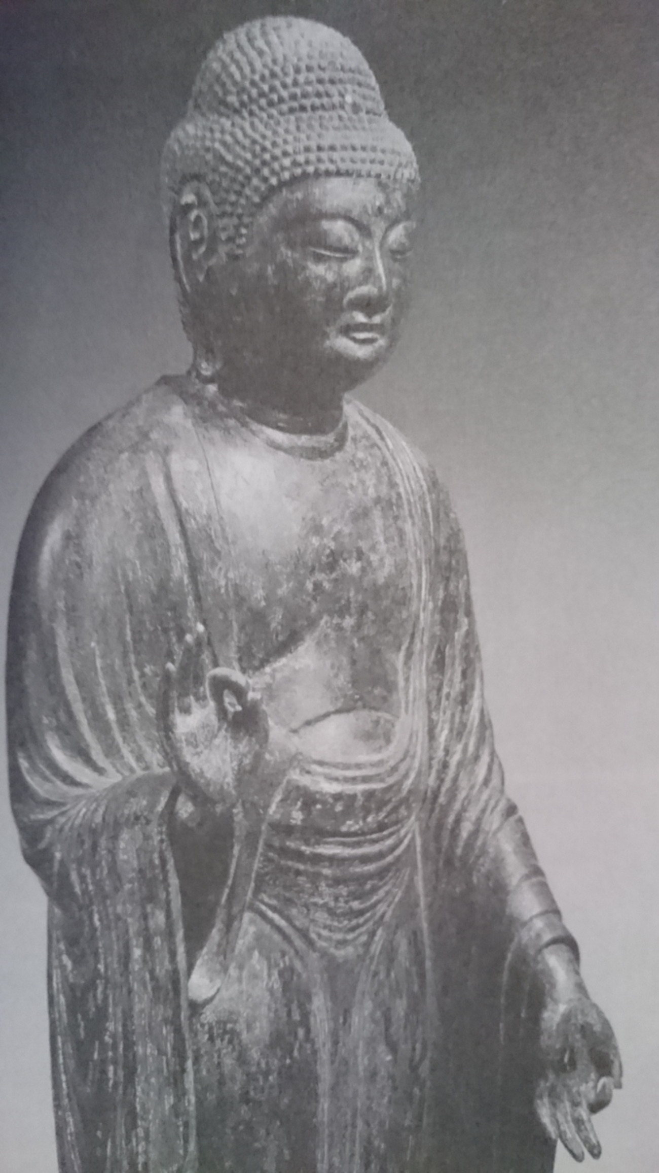千葉】いすみ市・行元寺の本尊阿弥陀如来立像と海雄寺の釈迦涅槃像 