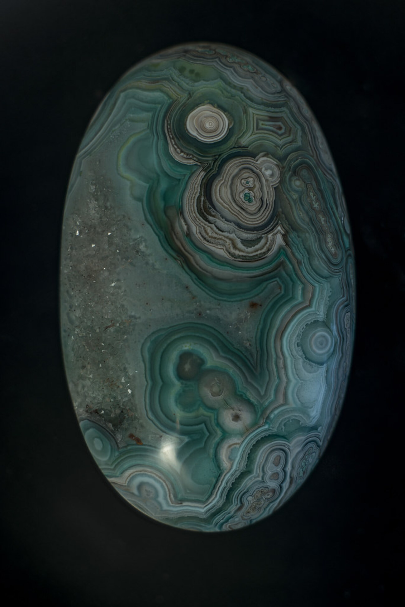 オーシャンジャスパー - マクロ☆スタイル