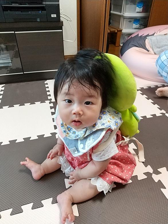 お座りとは 人気 最新記事を集めました はてな