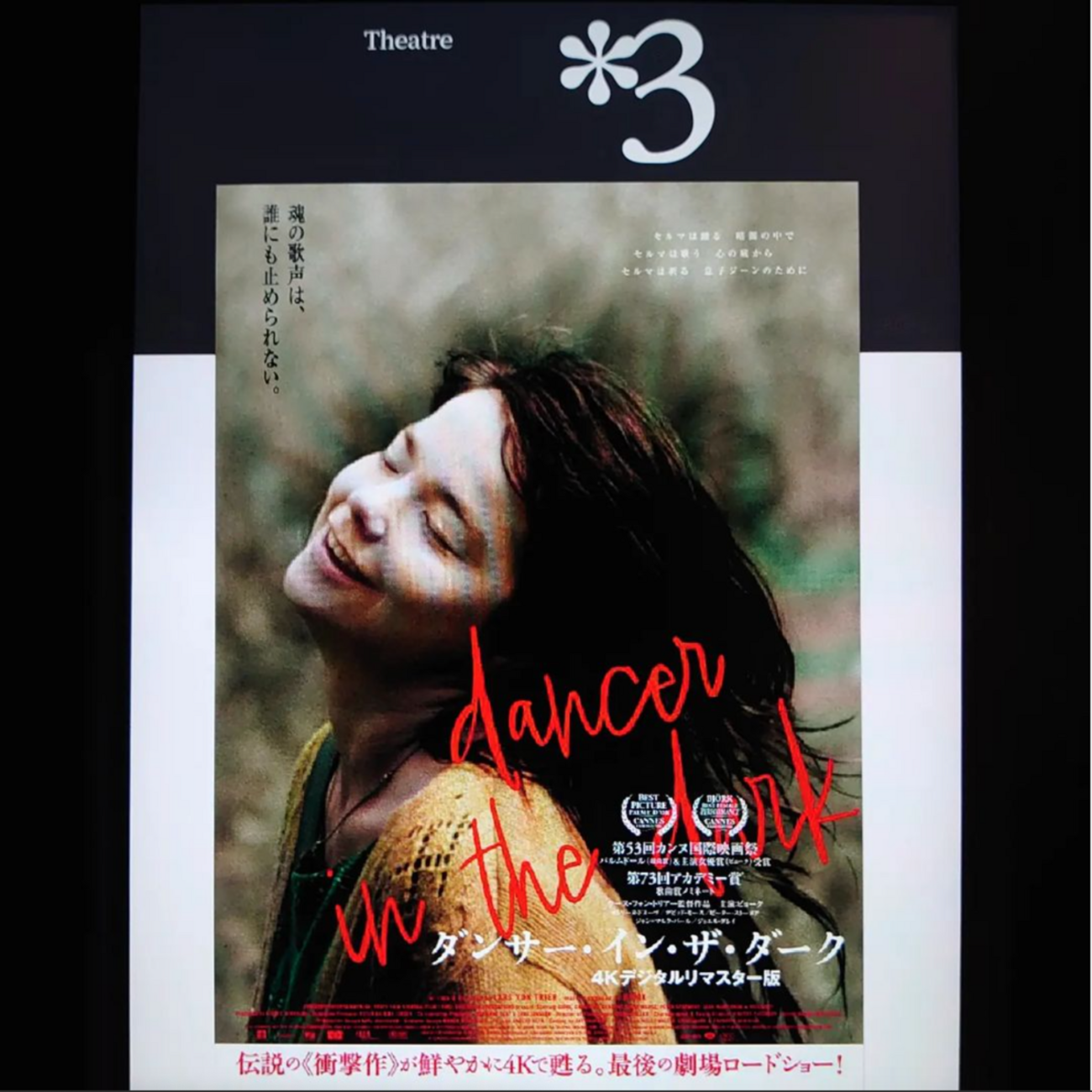 ビョーク「ダンサー・イン・ザ・ダーク4Kデジタルリマスター版」限定B1ポスター ビョーク「ダンサー・イン・ザ・ダーク4Kデジタルリマスター版