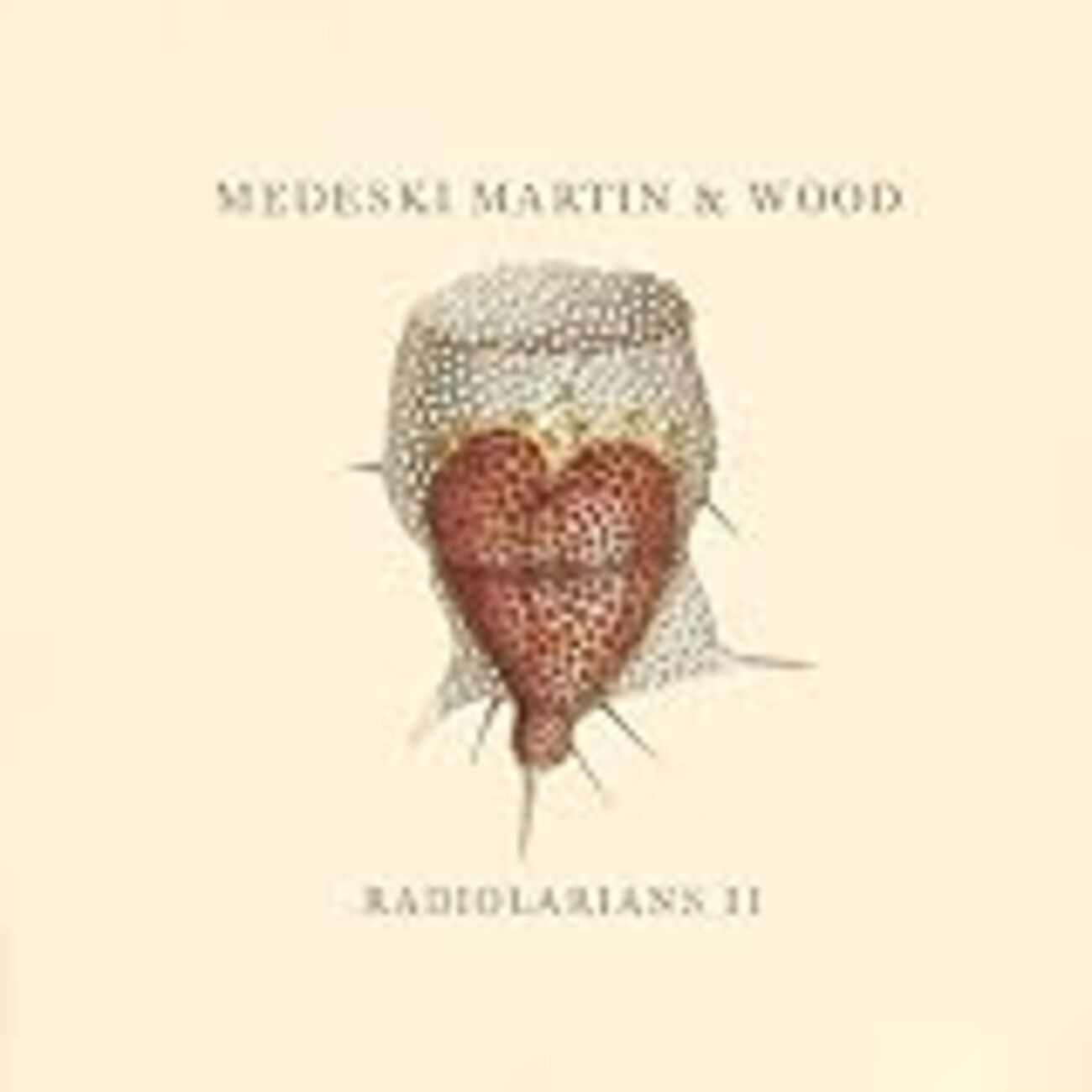Medeski martin & Wood / Radiolarians II - tonochang