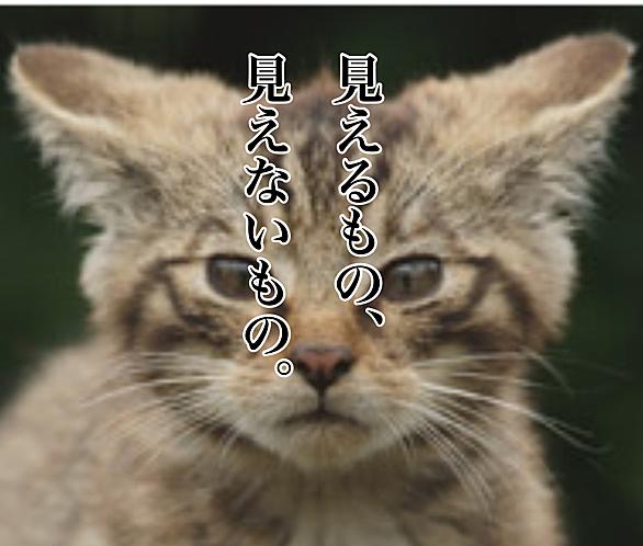 猫が笑うとは 人気 最新記事を集めました はてな