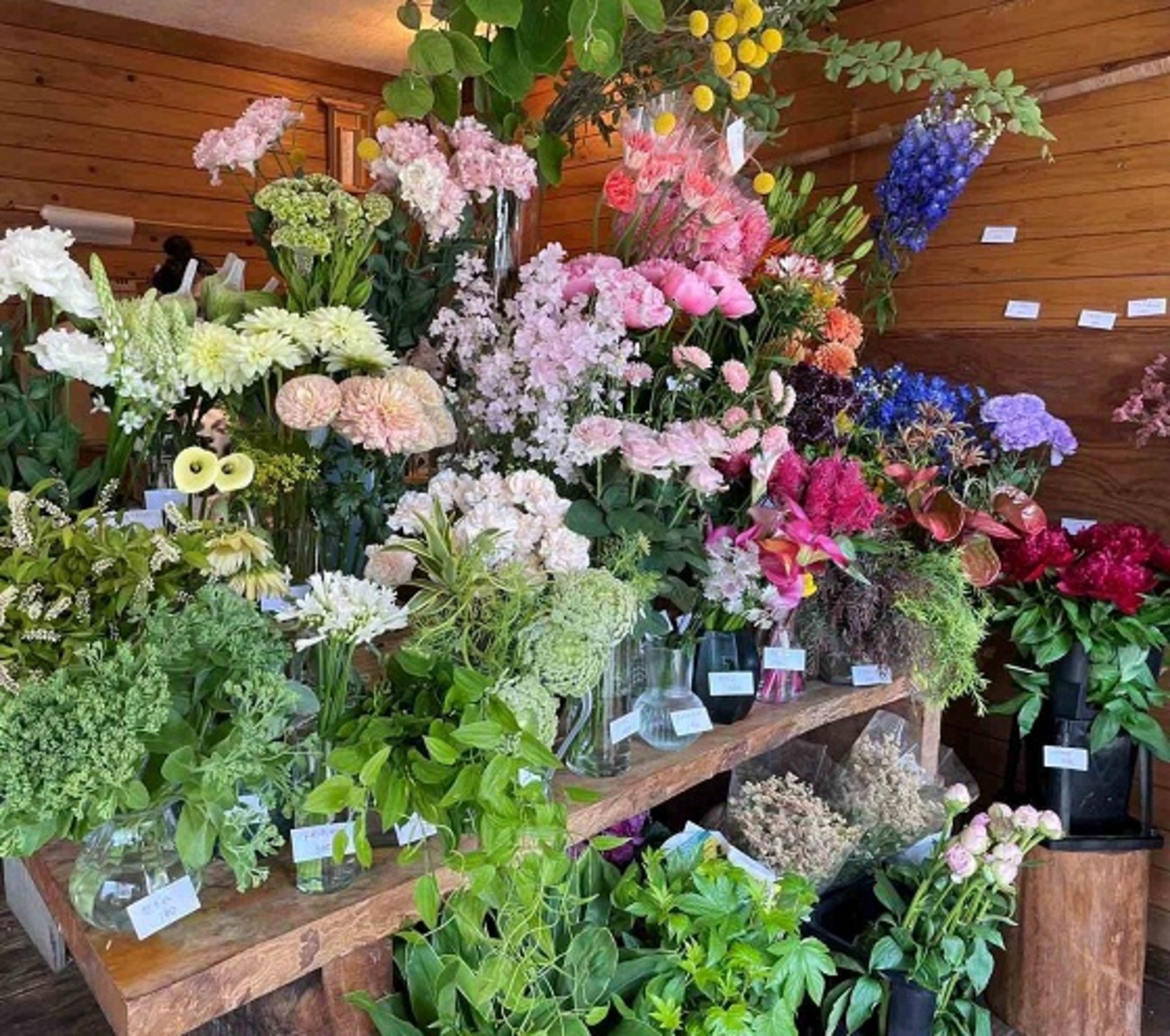 お花屋さん ballaholic カフェ巡り大好き芸人 | . 平尾にあるお花屋さん花花