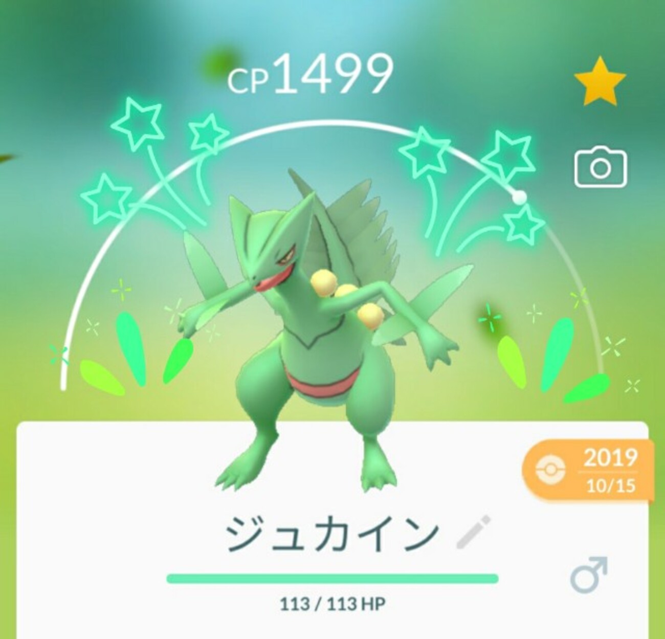 backend=imagemagick;version=1;